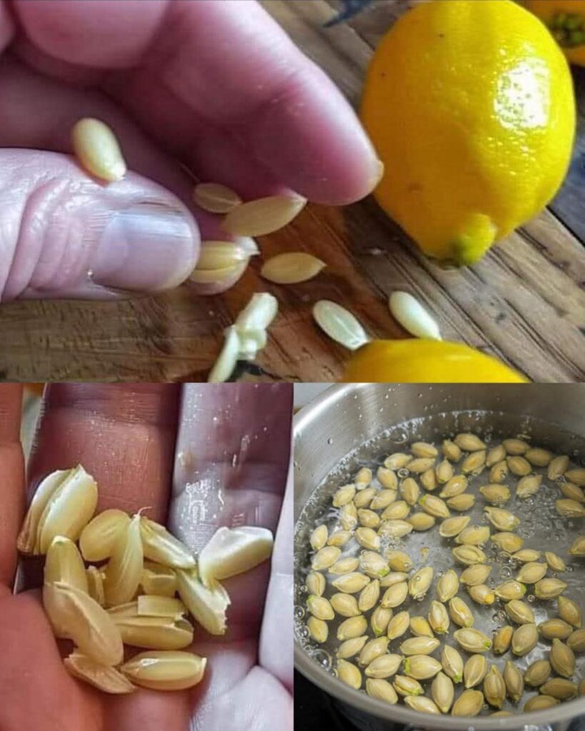 10 Clever Ways to Reuse Lemon Seeds at Home