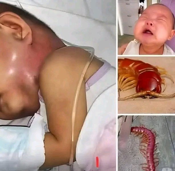 I had no idea how important this little creature actually is…